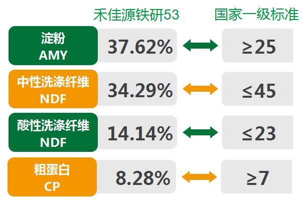 青貯玉米營養(yǎng)價(jià)值高